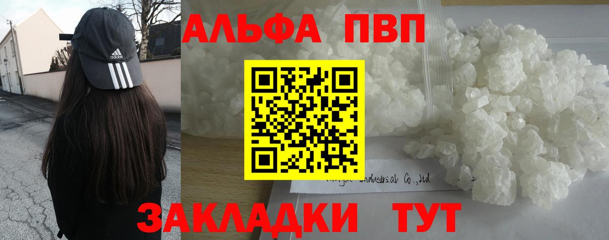 Alfa_PVP СК Хасавюрт