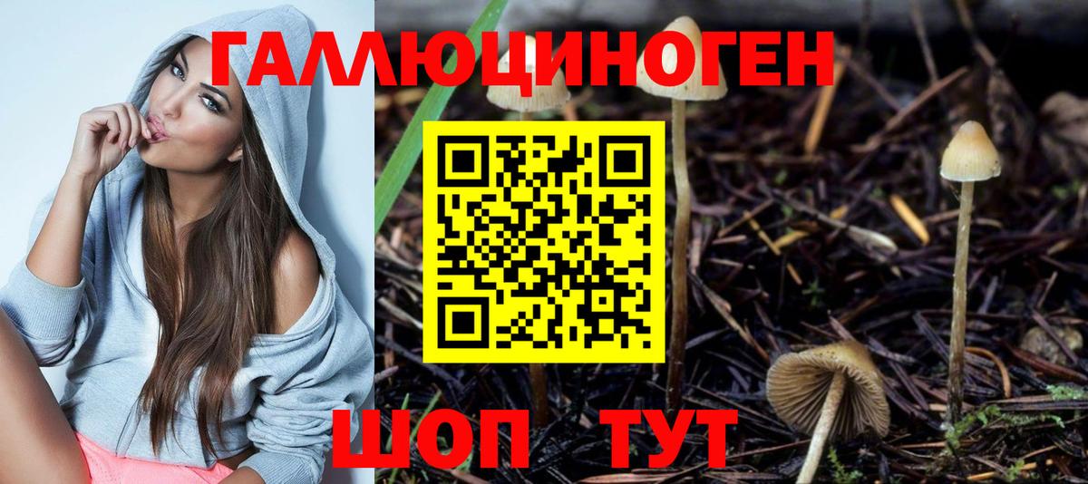 Псилоцибиновые грибы MAGIC MUSHROOMS Хасавюрт