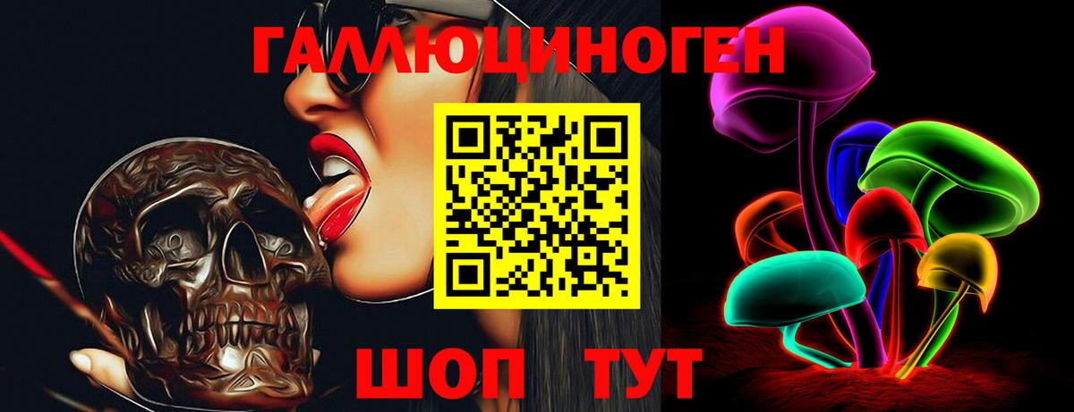 Псилоцибиновые грибы Psilocybine cubensis  Вход с VPN  наркота  Псилоцибиновые грибы мицелий  Хасавюрт 