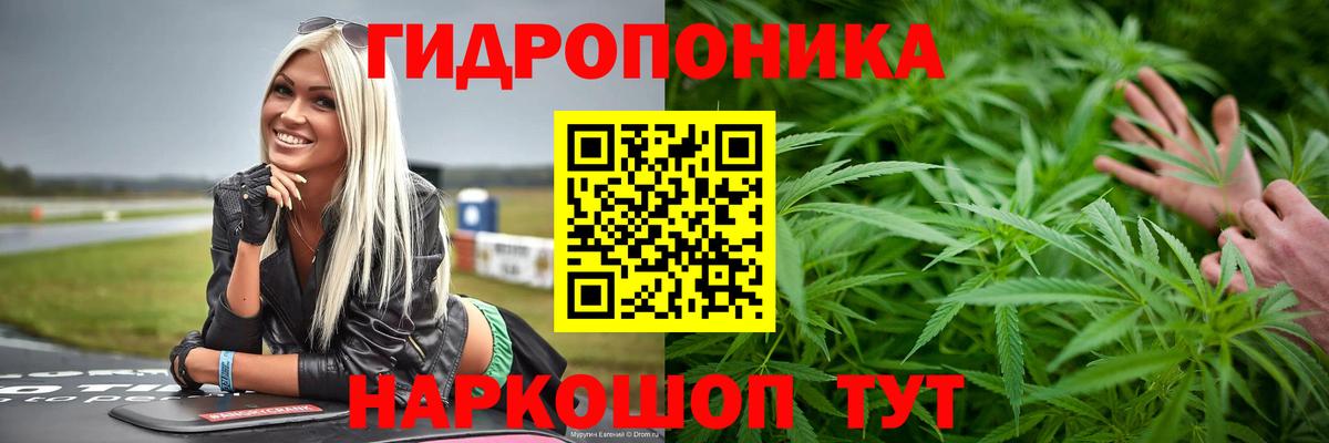 МАРИХУАНА VHQ Хасавюрт
